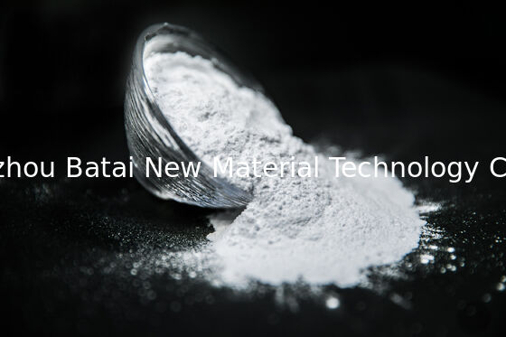 메이크업용 실리콘 파우더